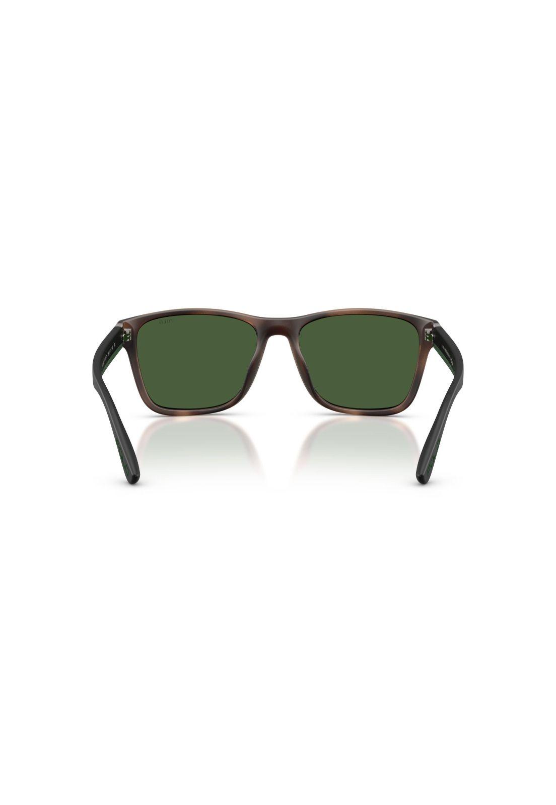 Lentes de Sol Havana Ralph Lauren PH4229U607071-3