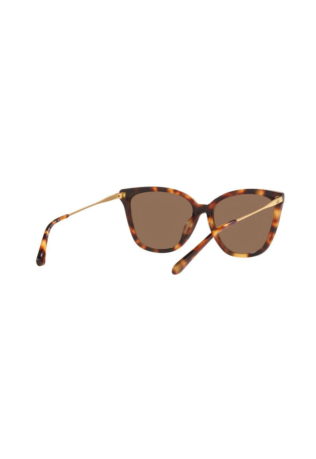 Lentes de Sol Havana Jack JK6001J154-7