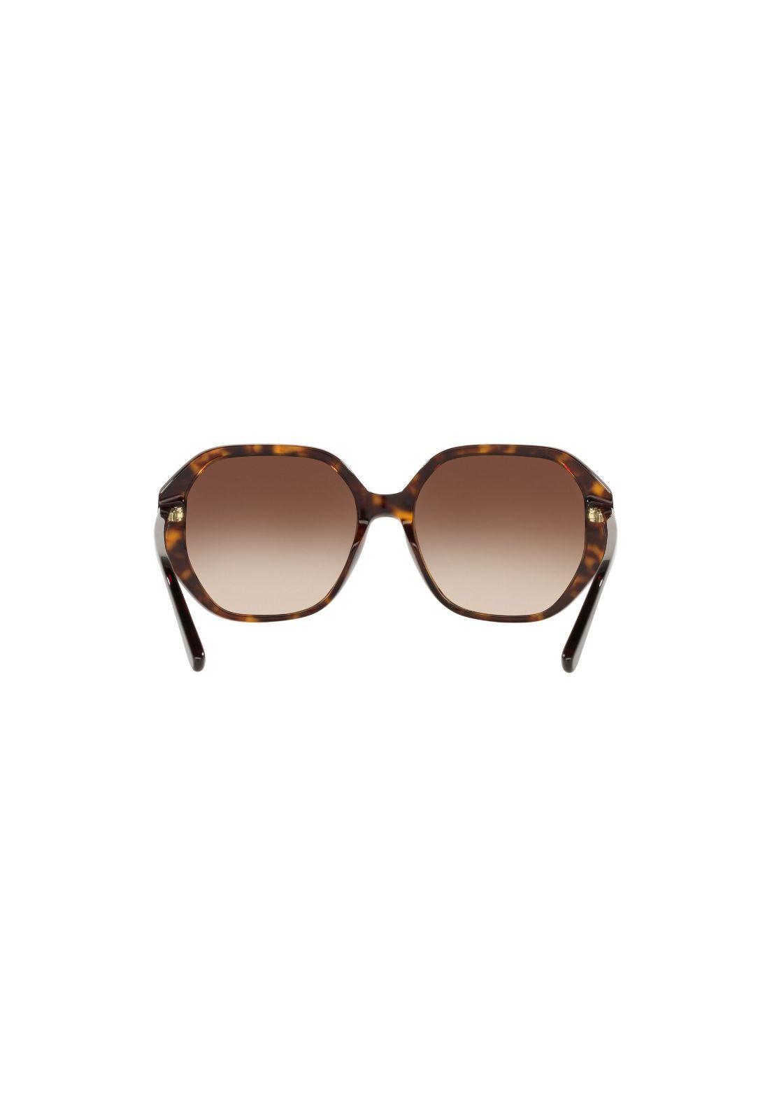 Lentes de Sol Pasadena Havana Michael Kors MK2138-6