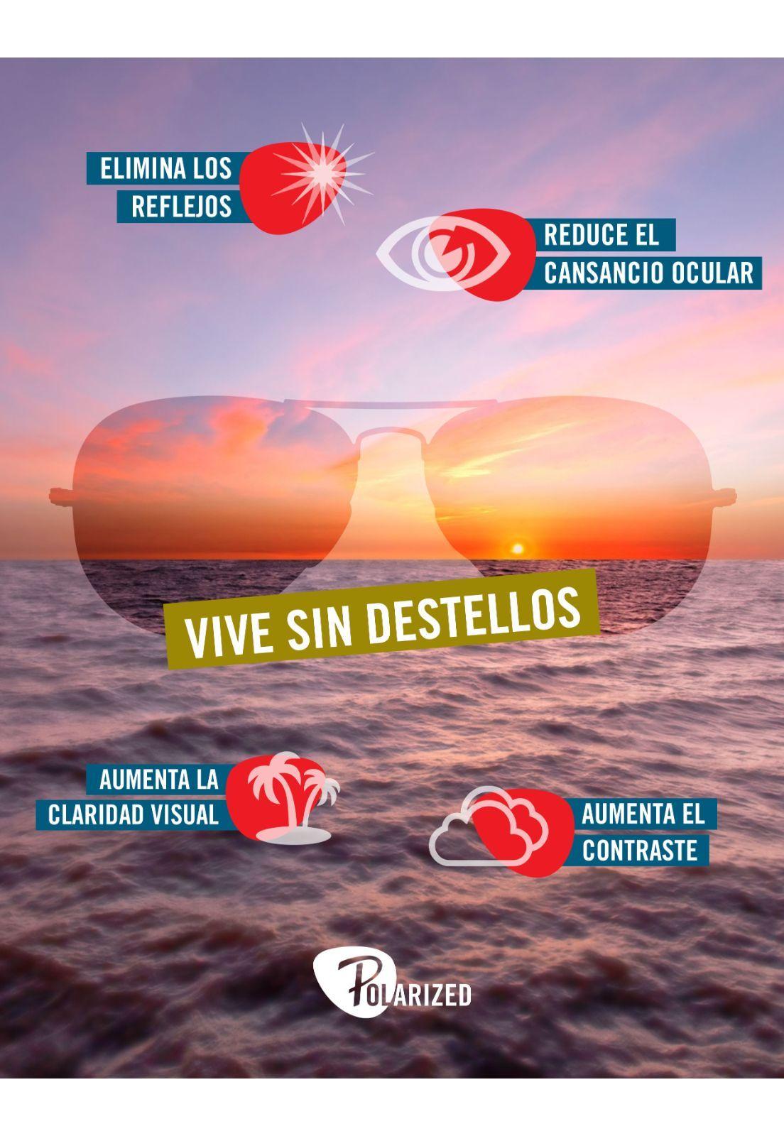 Lentes de Sol Polarizados Ray-Ban RB2027601W162-4