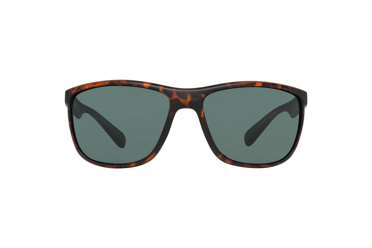 Lentes de Sol Marron Timberland TB717956N61-0