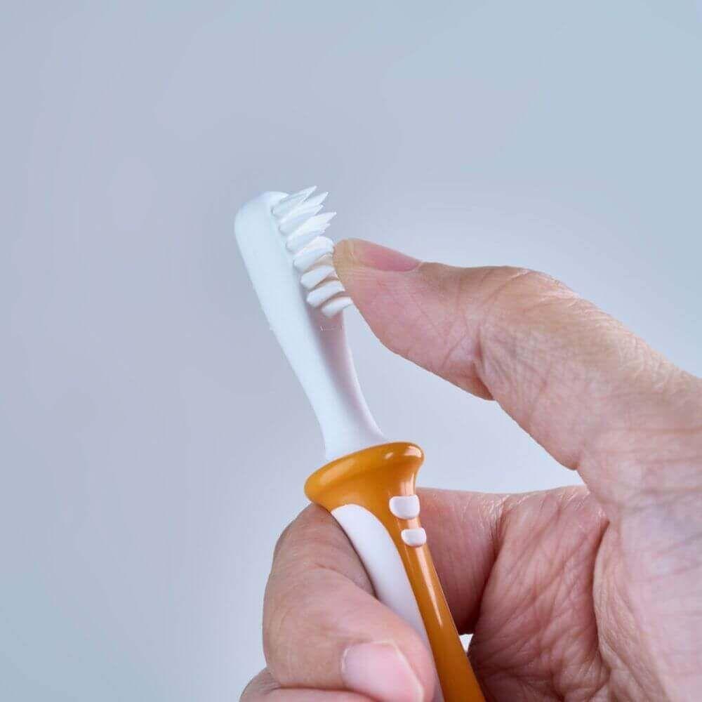 Cepillos Dentales - Set De Aprendizaje - 3 Pasos-3