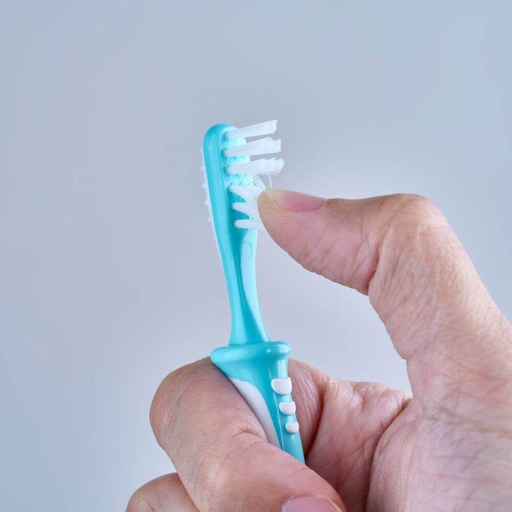 Cepillos Dentales - Set De Aprendizaje - 3 Pasos-5