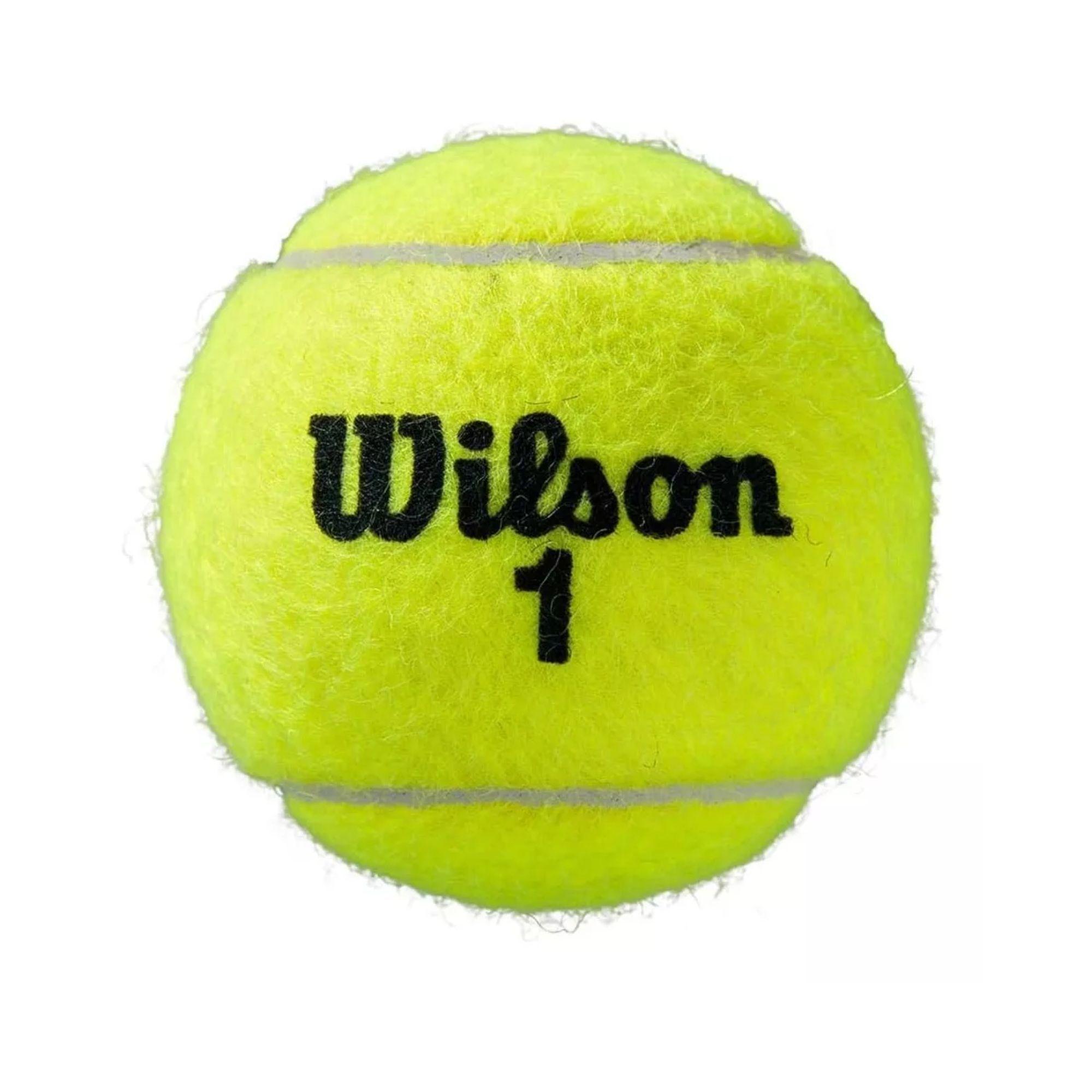 Tarro Pelotas Tenis Wilson Roland Garros X3-2