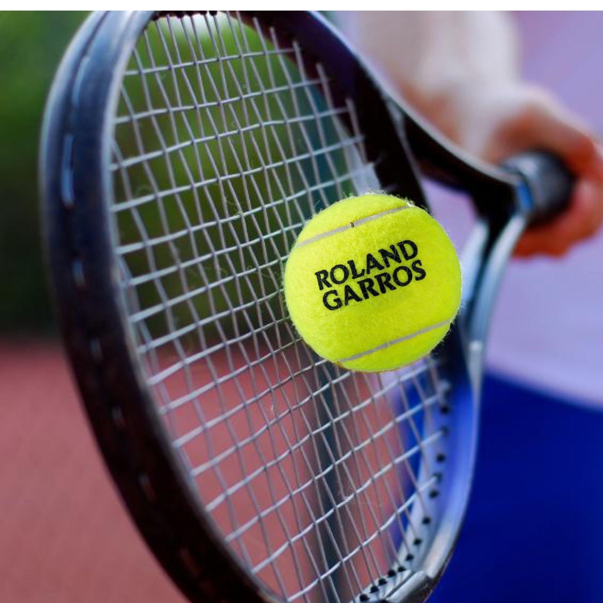 Tarro Pelotas Tenis Wilson Roland Garros X3-3