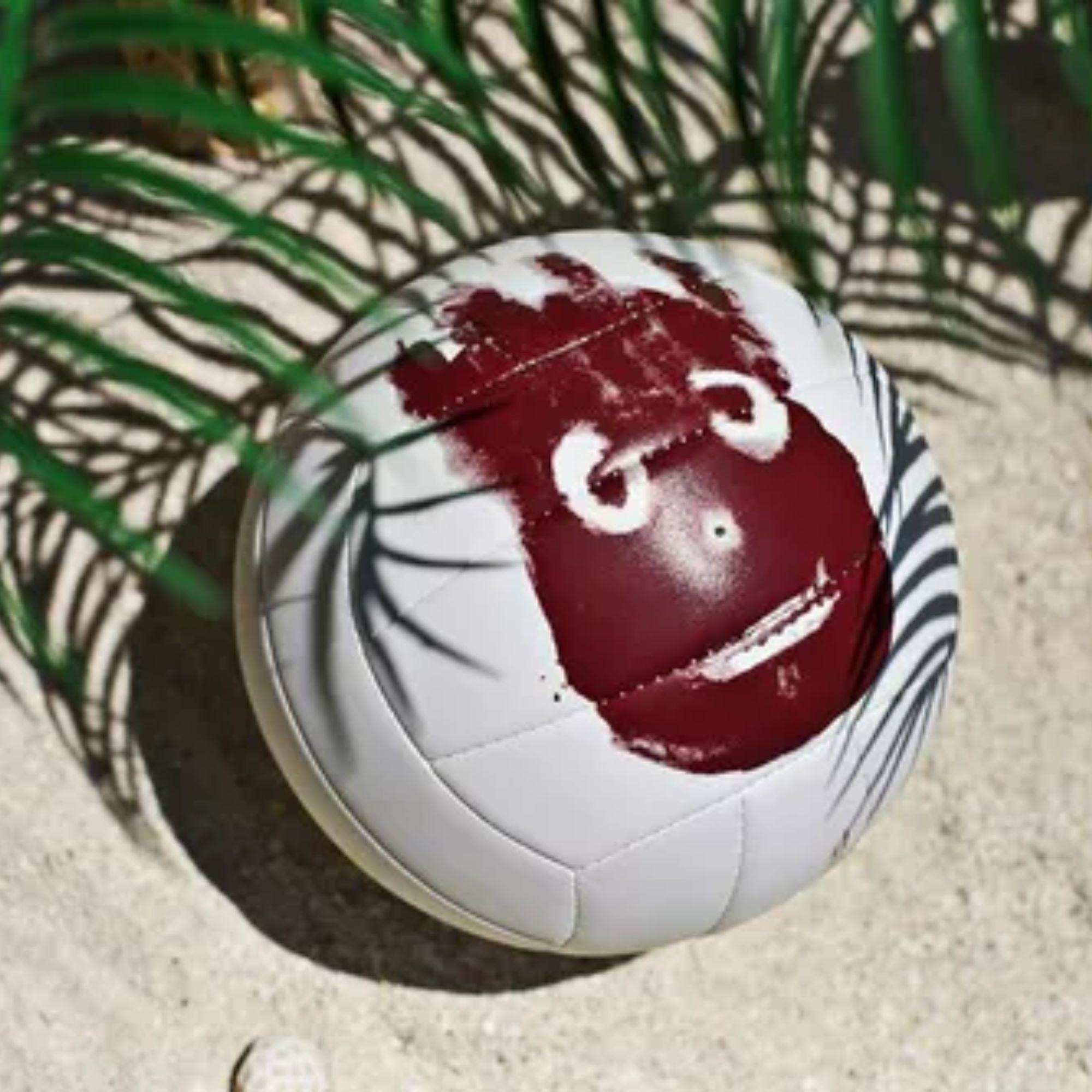Balon Voleibol Wilson Castaways/Naufrago Original-4