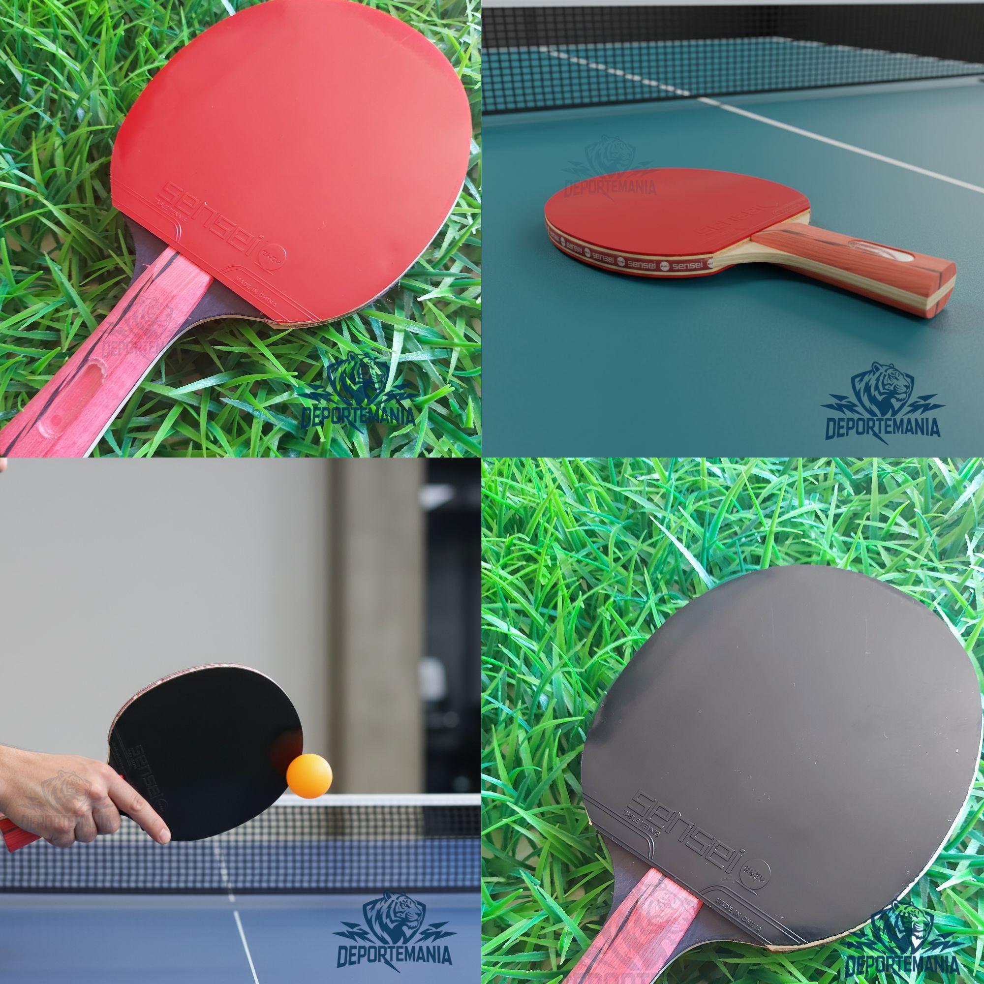 Paleta De Ping Pong Sensei 5 Star Negra Y Roja-8