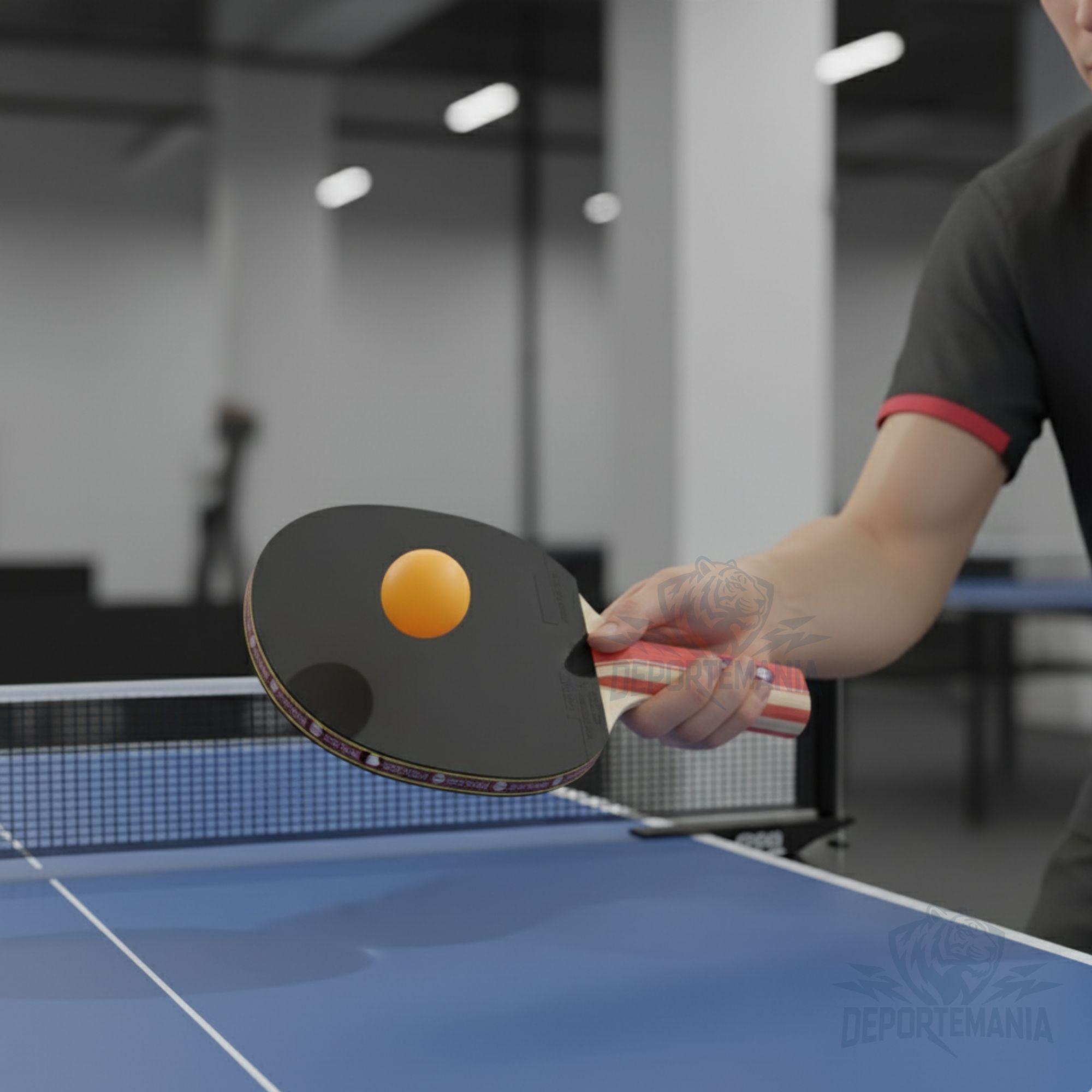 Paleta De Ping Pong Sensei 2 Star Negra Y Roja-4