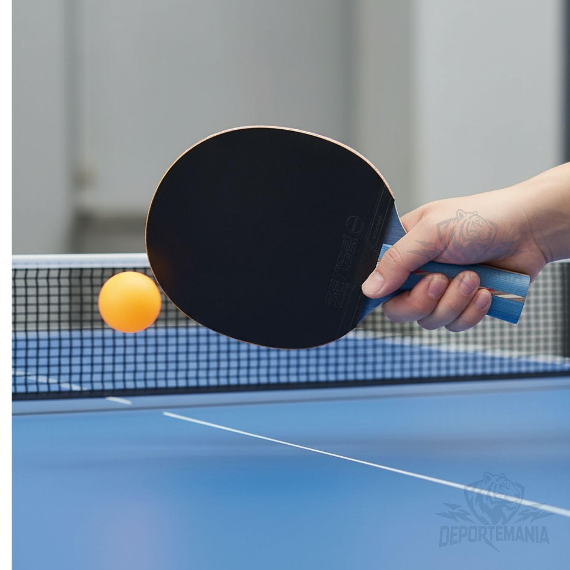 Paleta De Ping Pong Sensei 6 Star-3