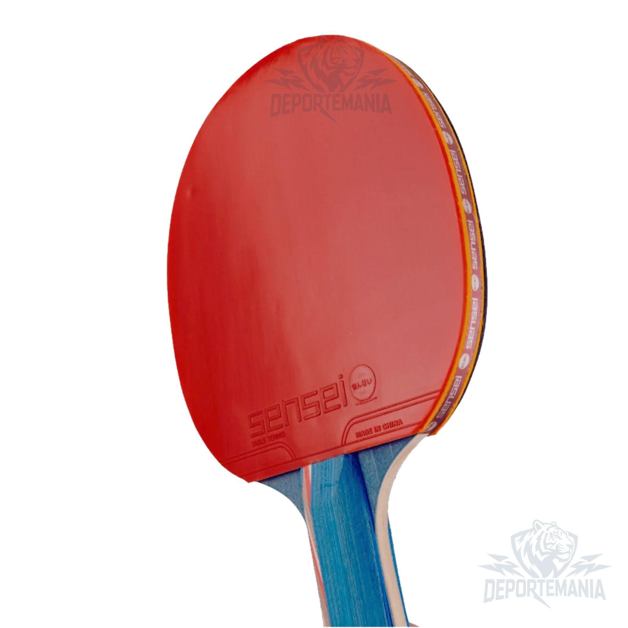 Paleta De Ping Pong Sensei 6 Star-5