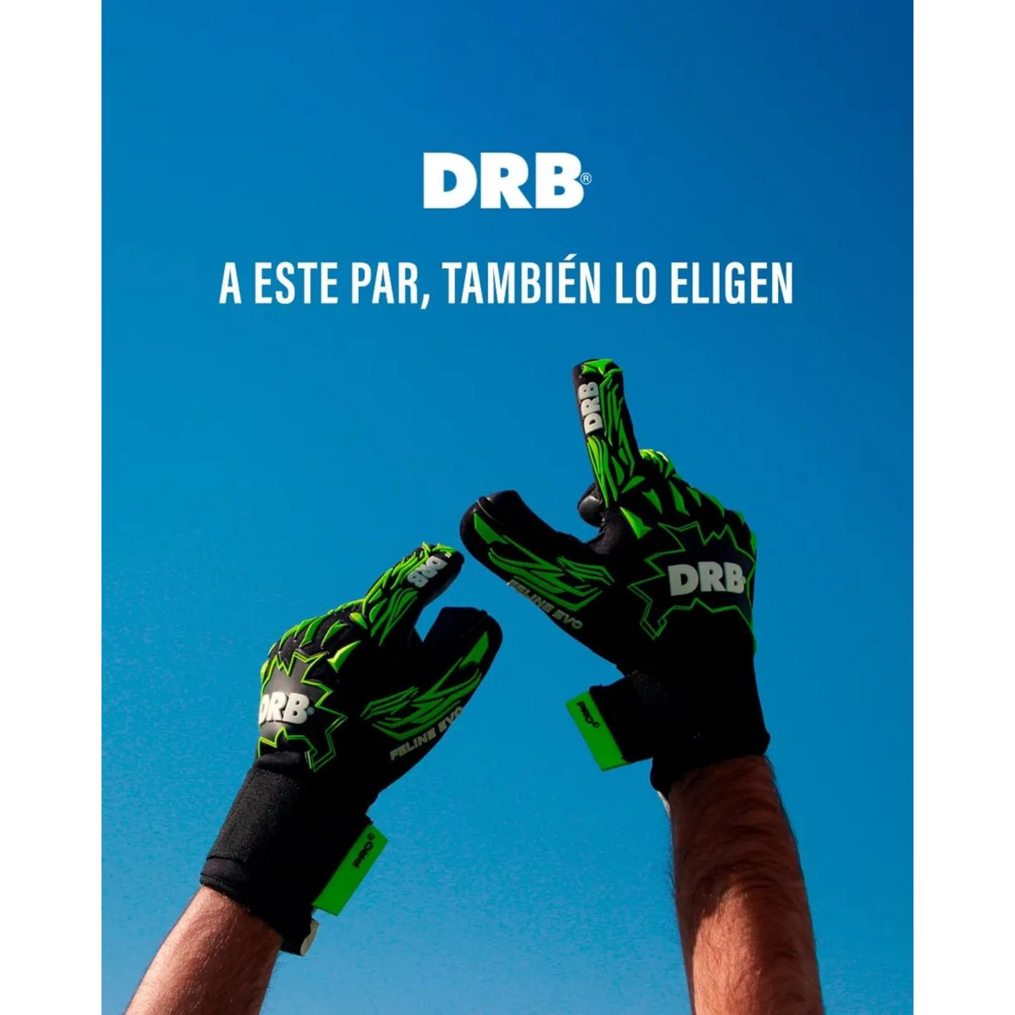 Guantes Arquero Portero Futbol Drb Feline Pro Latex Aleman-8