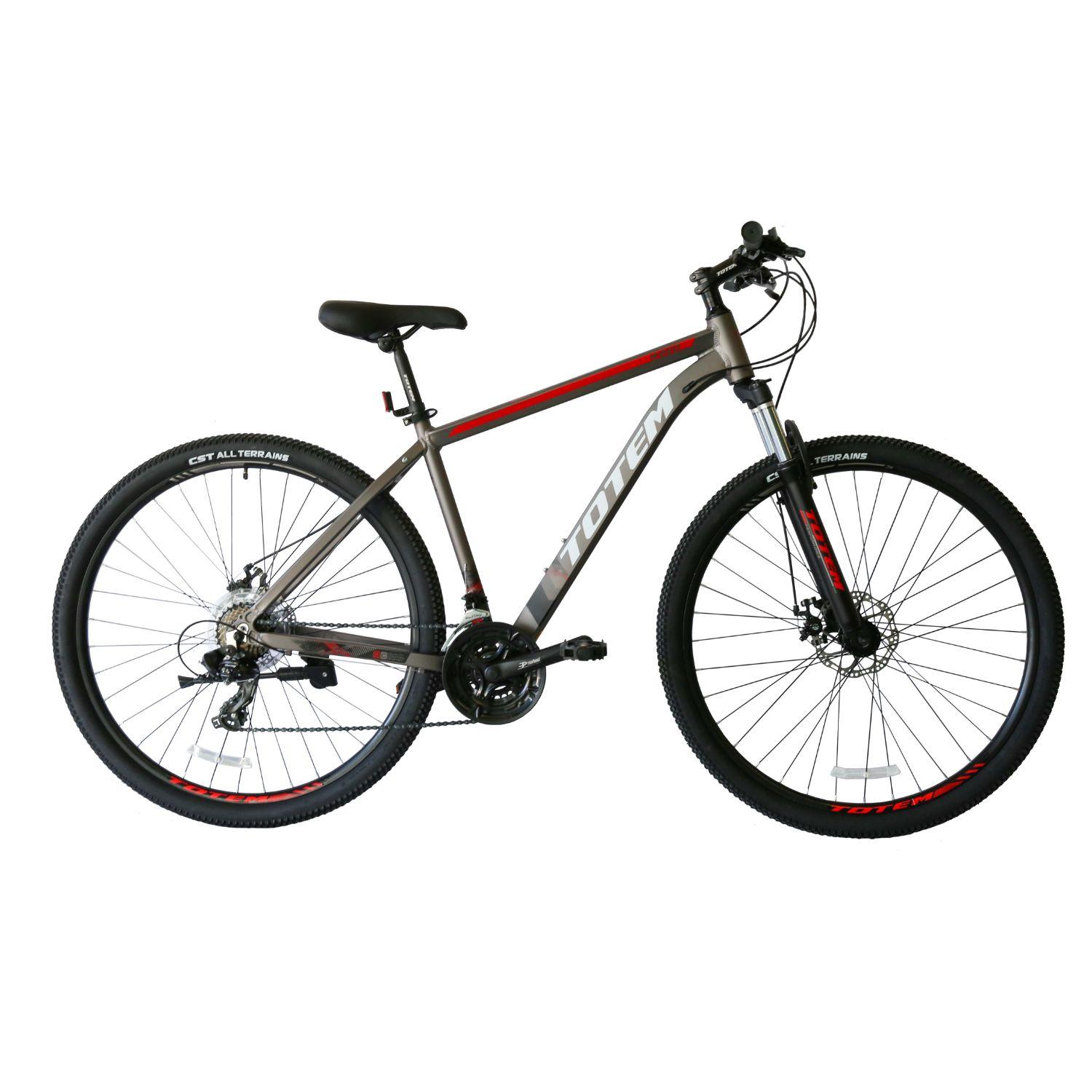 BICICLETA TOTEM MTB ARO 29*19 MOD W860 COLOR GRIS-0