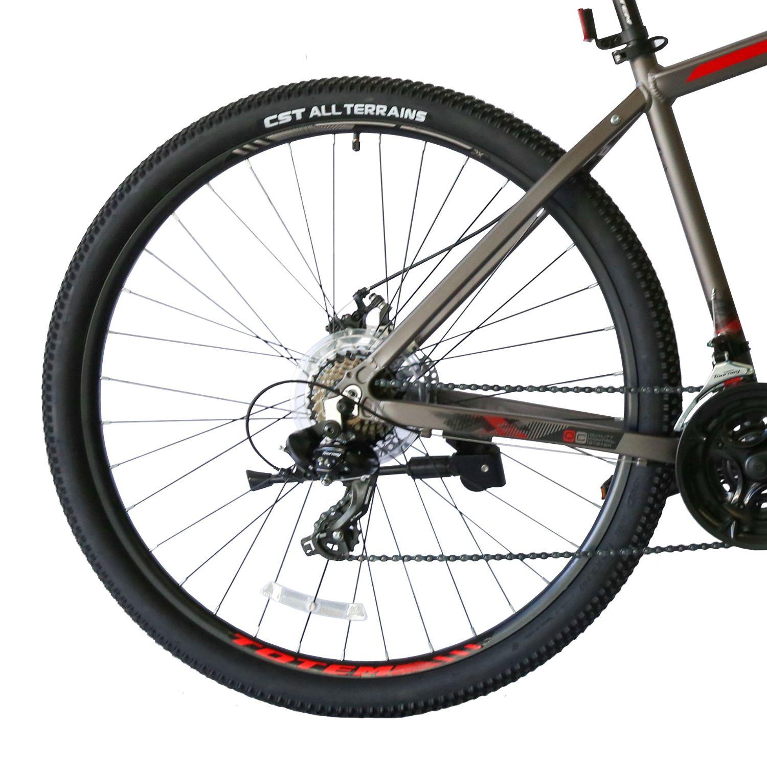 BICICLETA TOTEM MTB ARO 29*19 MOD W860 COLOR GRIS-1