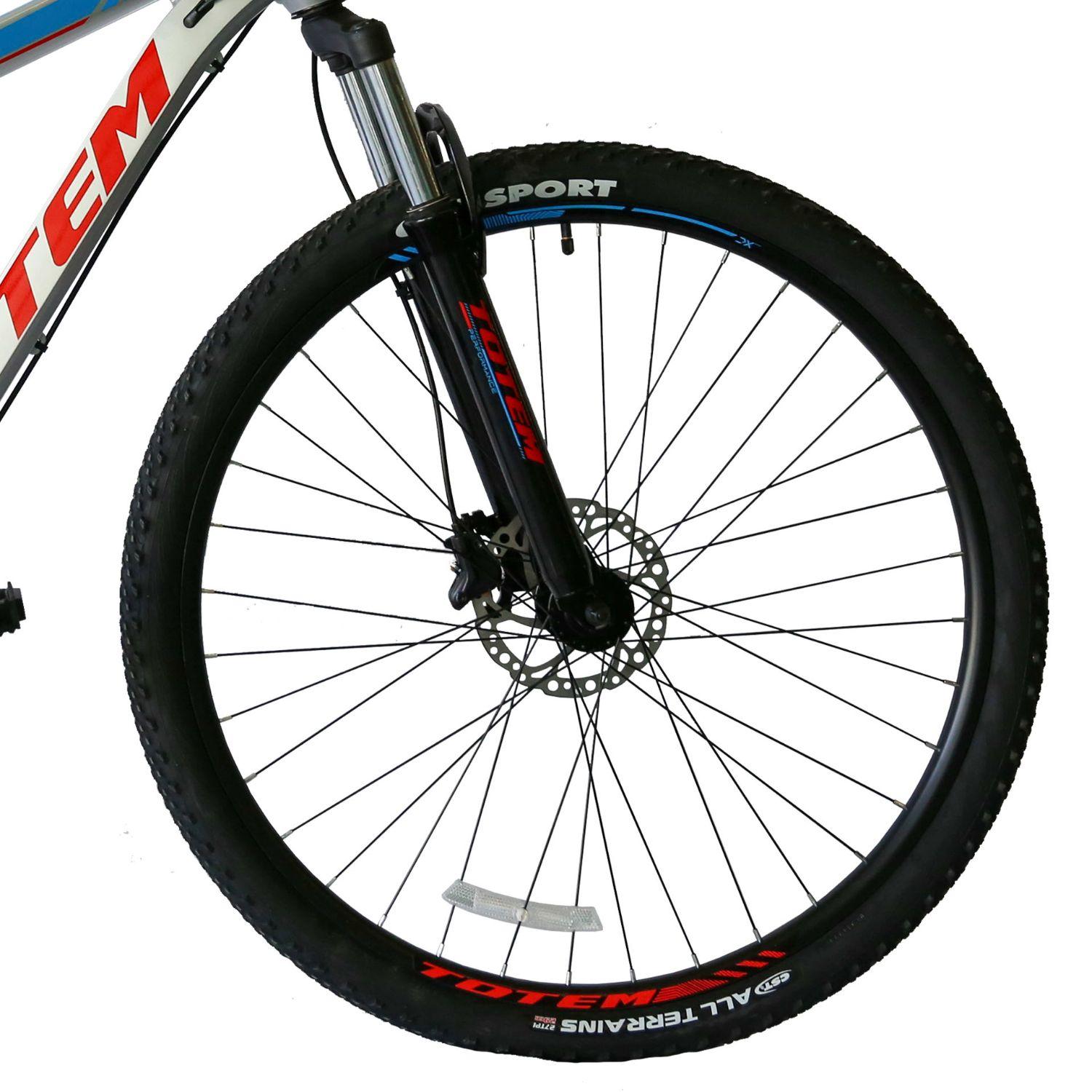 BICICLETA TOTEM MTB ARO 29*17 MOD W790 COLOR PLATEA-2