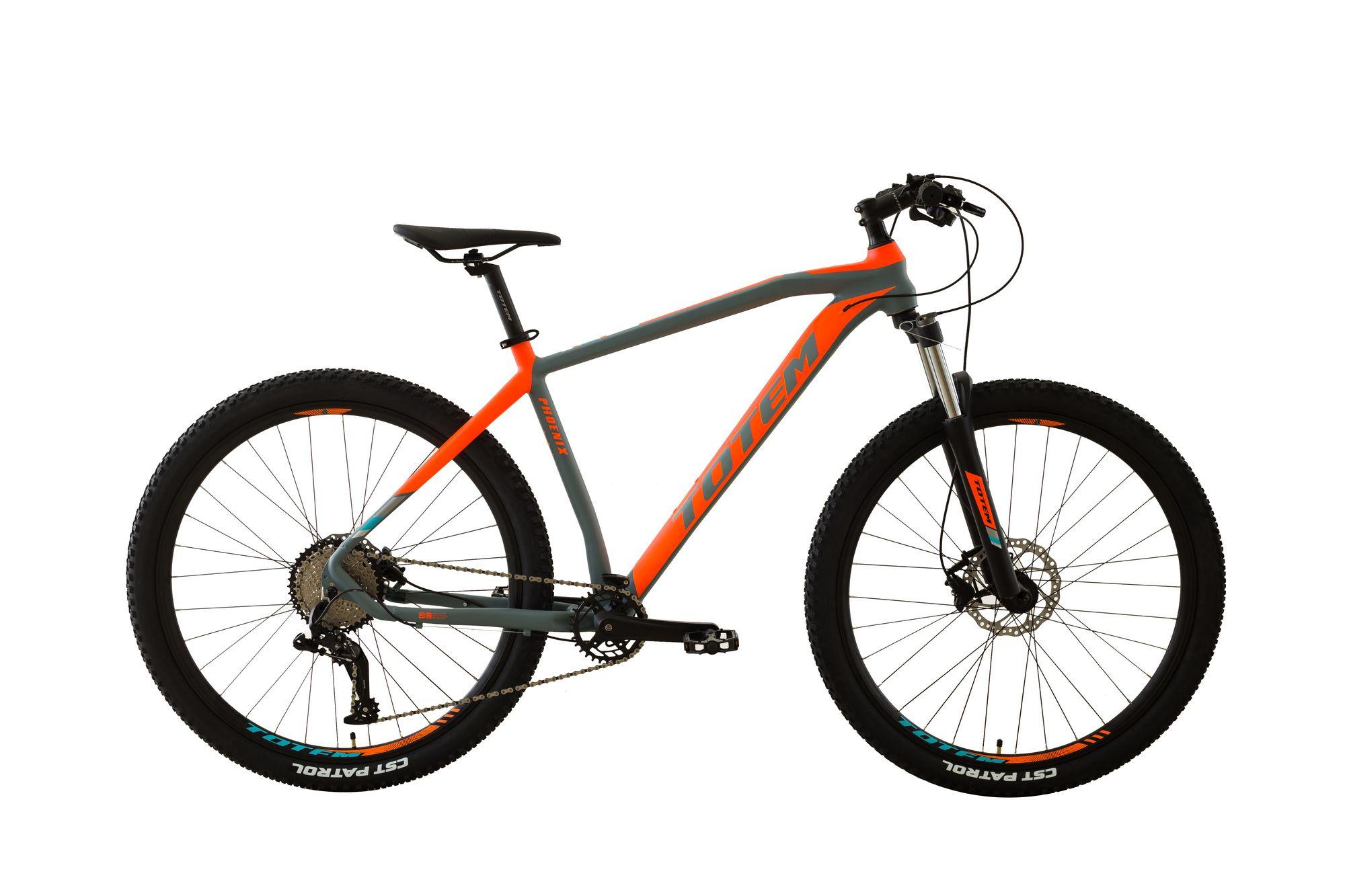 BICICLETA TOTEM MTB ARO 29*20 MODELO PHOENIX  -0