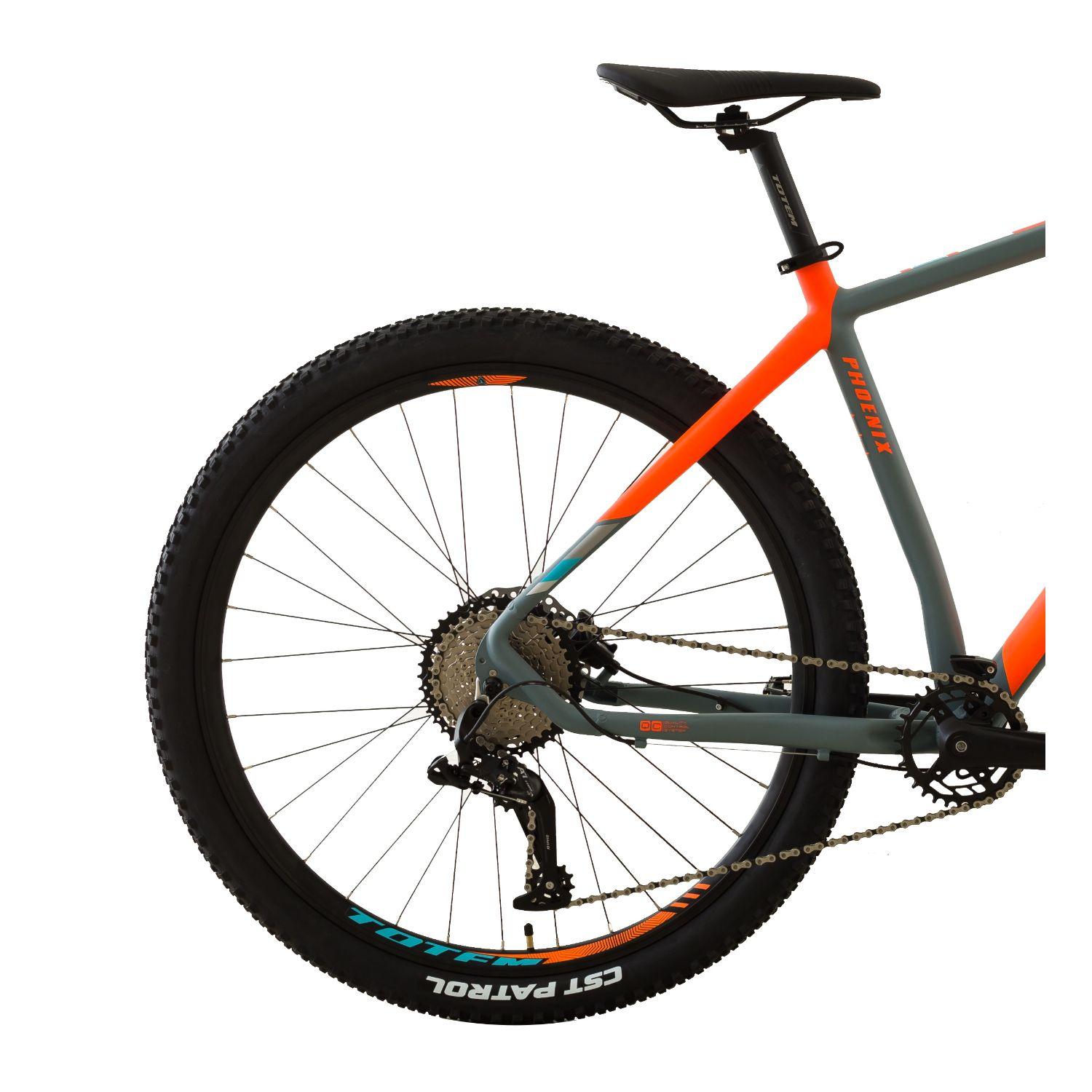 BICICLETA TOTEM MTB ARO 29*20 MODELO PHOENIX  -1