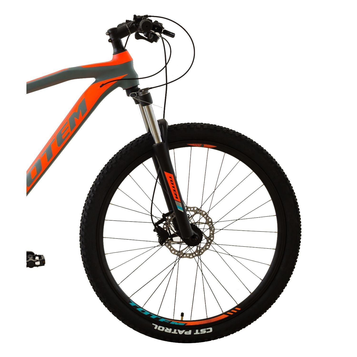 BICICLETA TOTEM MTB ARO 29*20 MODELO PHOENIX  -2