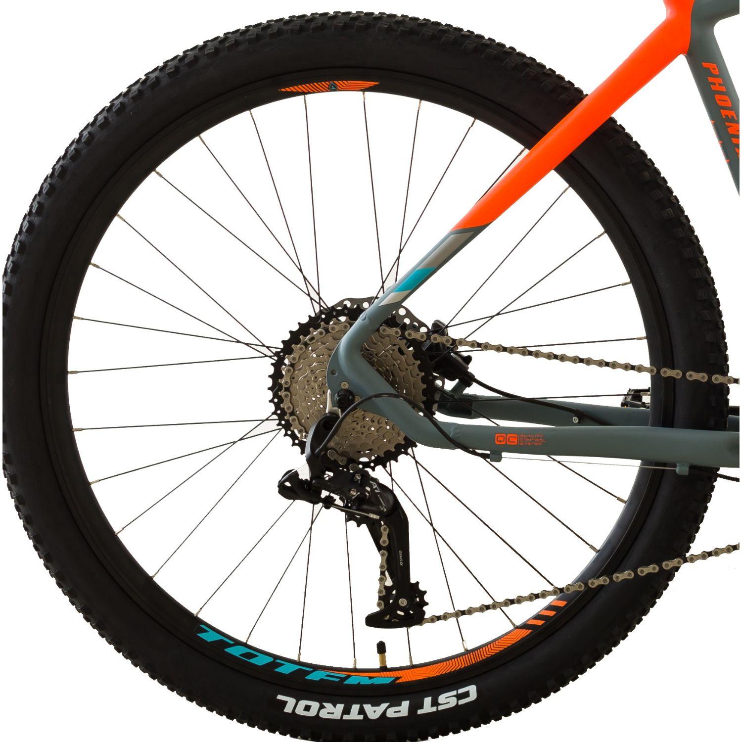 BICICLETA TOTEM MTB ARO 29*20 MODELO PHOENIX  -3