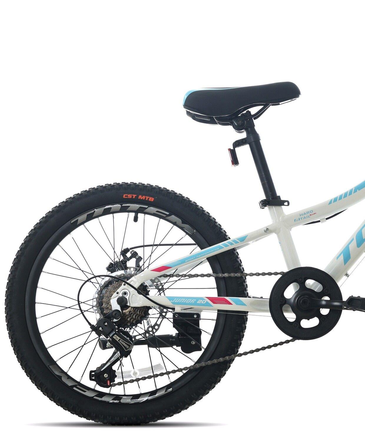BICICLETA TOTEM MTB ARO 20 MODELO 1100 BLANCO-2