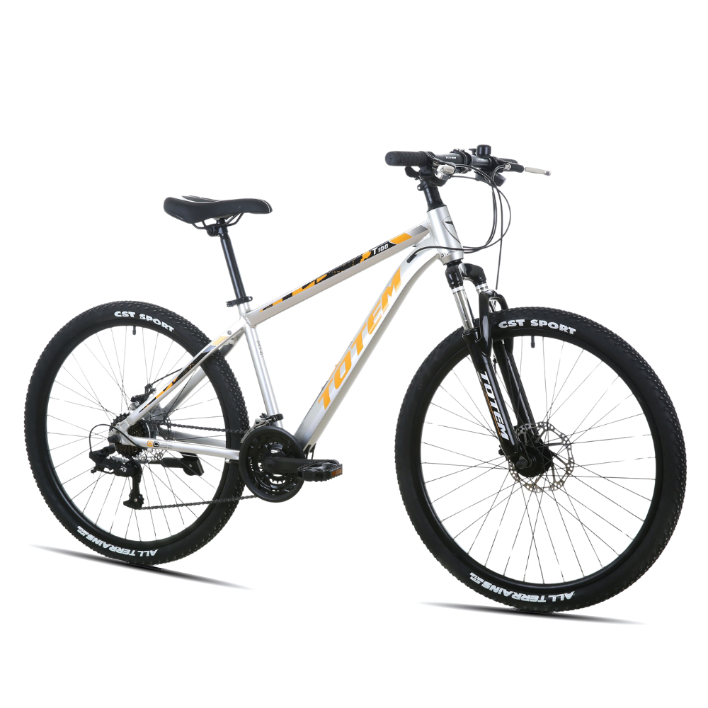 BICICLETA TOTEM MTB ARO 26  MODELO T100 COLOR PLATEADO-0