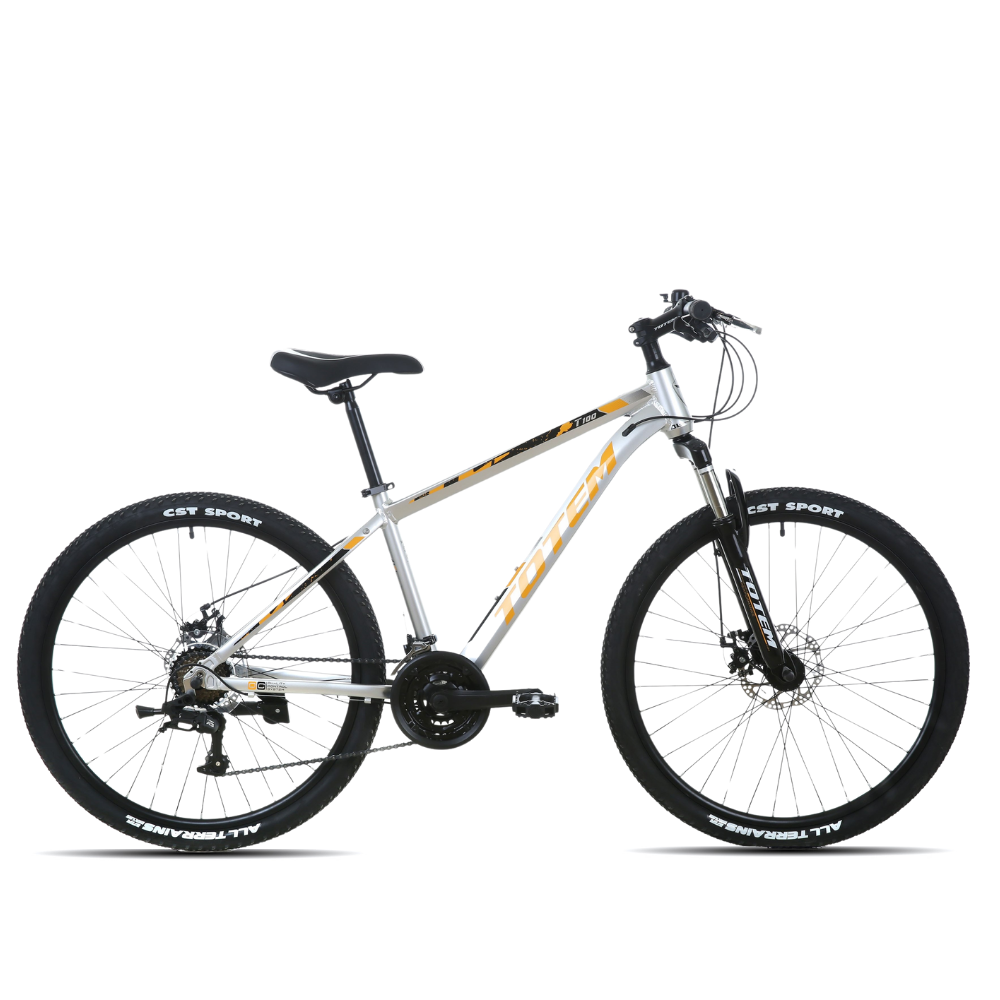 BICICLETA TOTEM MTB ARO 26  MODELO T100 COLOR PLATEADO-1