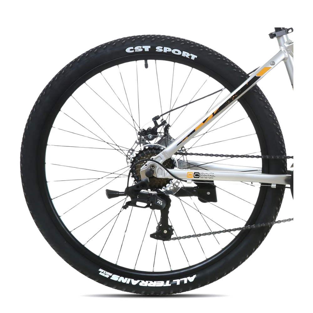 BICICLETA TOTEM MTB ARO 26  MODELO T100 COLOR PLATEADO-4