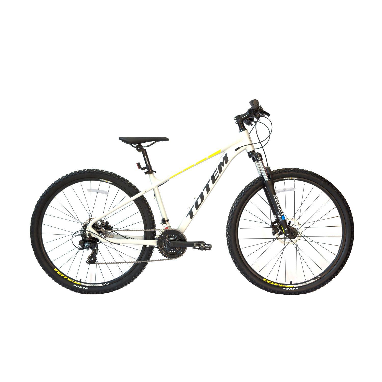BICICLETA TOTEM MTB ARO 29*17 TITAN 5 COLOR PLATEADO-0