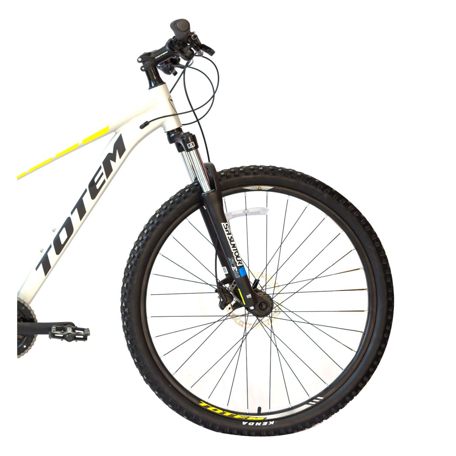 BICICLETA TOTEM MTB ARO 29*17 TITAN 5 COLOR PLATEADO-2