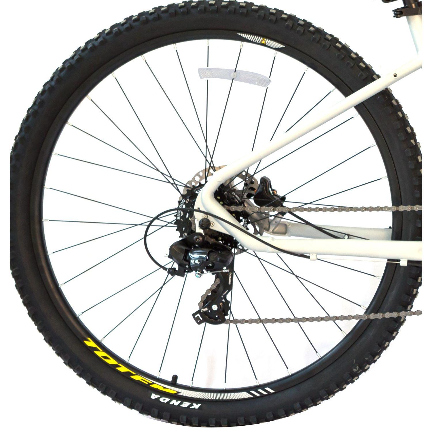 BICICLETA TOTEM MTB ARO 29*17 TITAN 5 COLOR PLATEADO-3