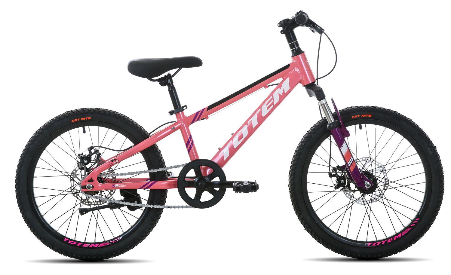 BICICLETA TOTEM MTB ARO 20 SUNSHINE COLOR ROSADA-0