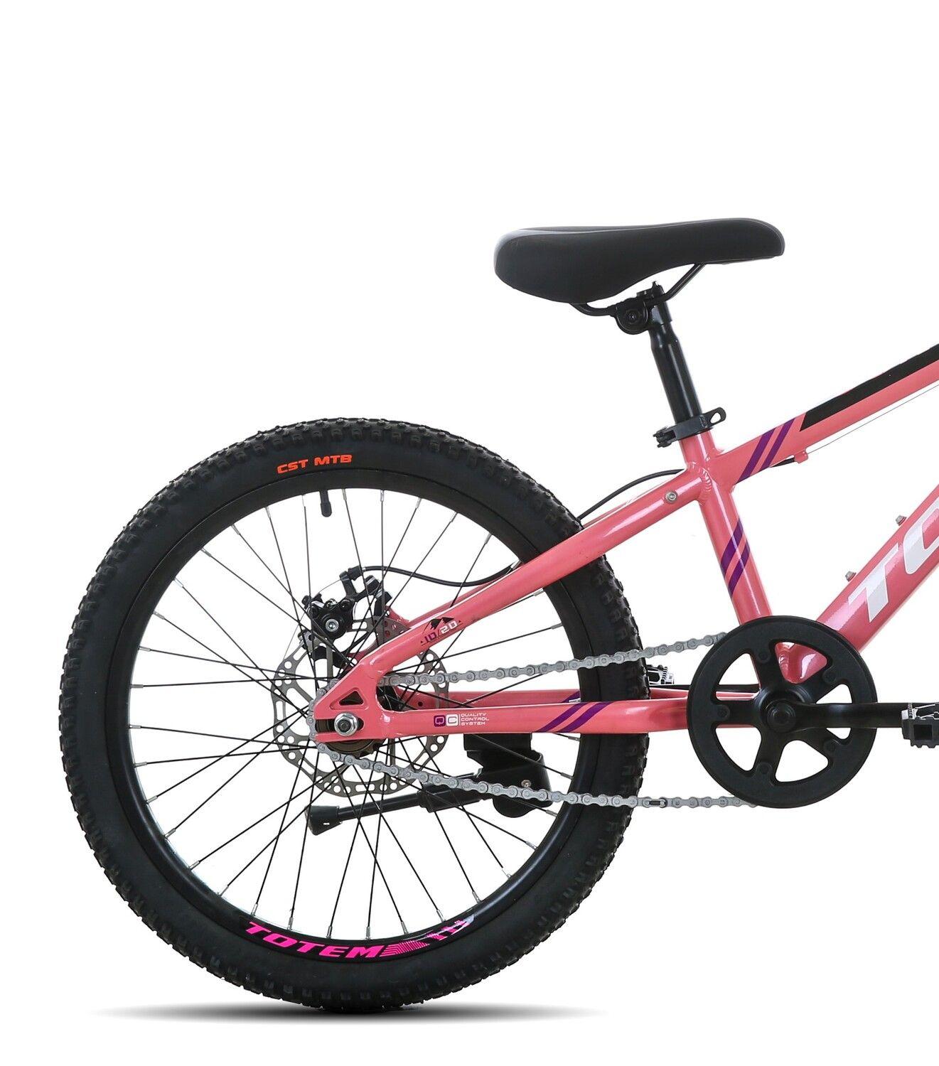 BICICLETA TOTEM MTB ARO 20 SUNSHINE COLOR ROSADA-1