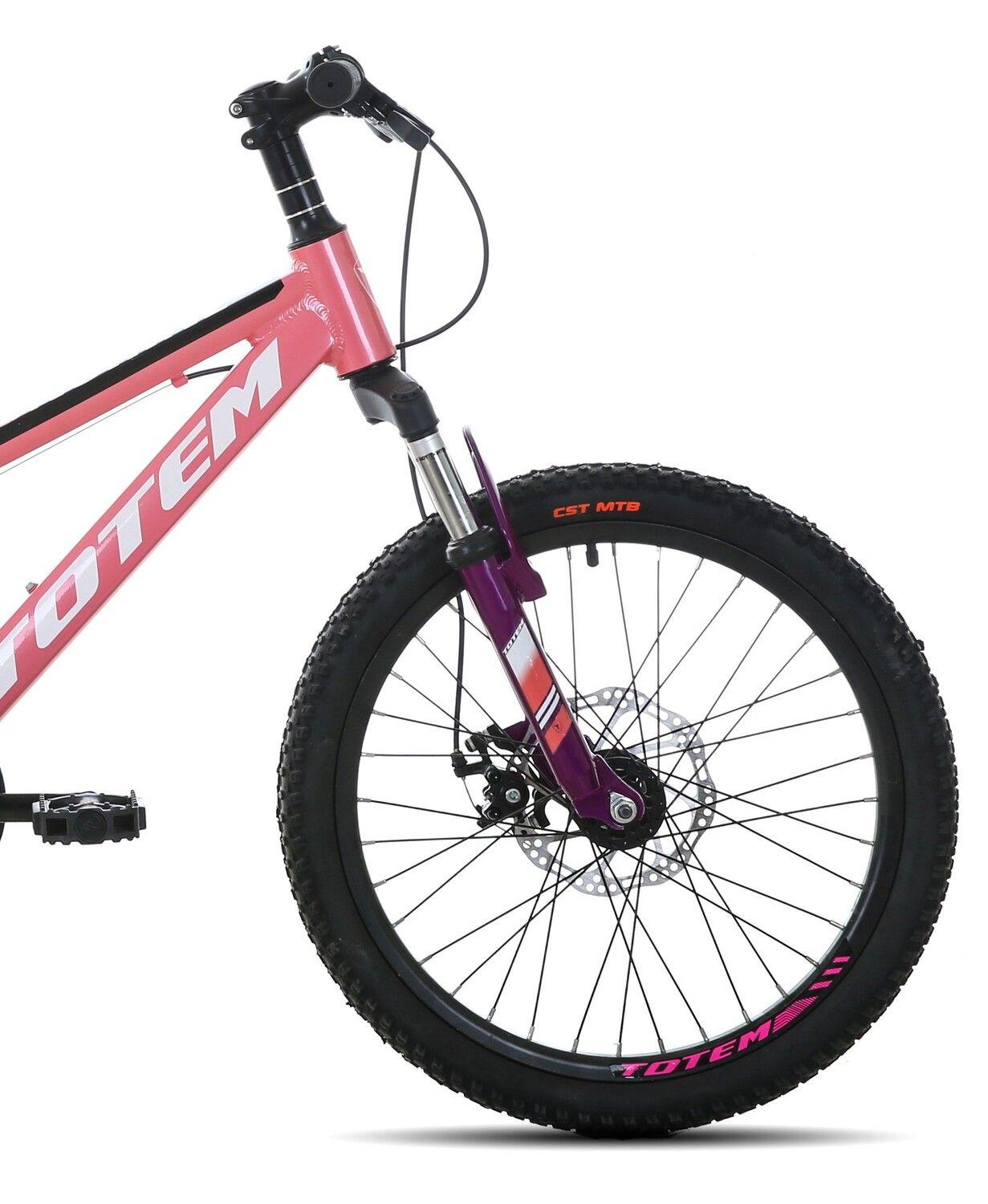 BICICLETA TOTEM MTB ARO 20 SUNSHINE COLOR ROSADA-2
