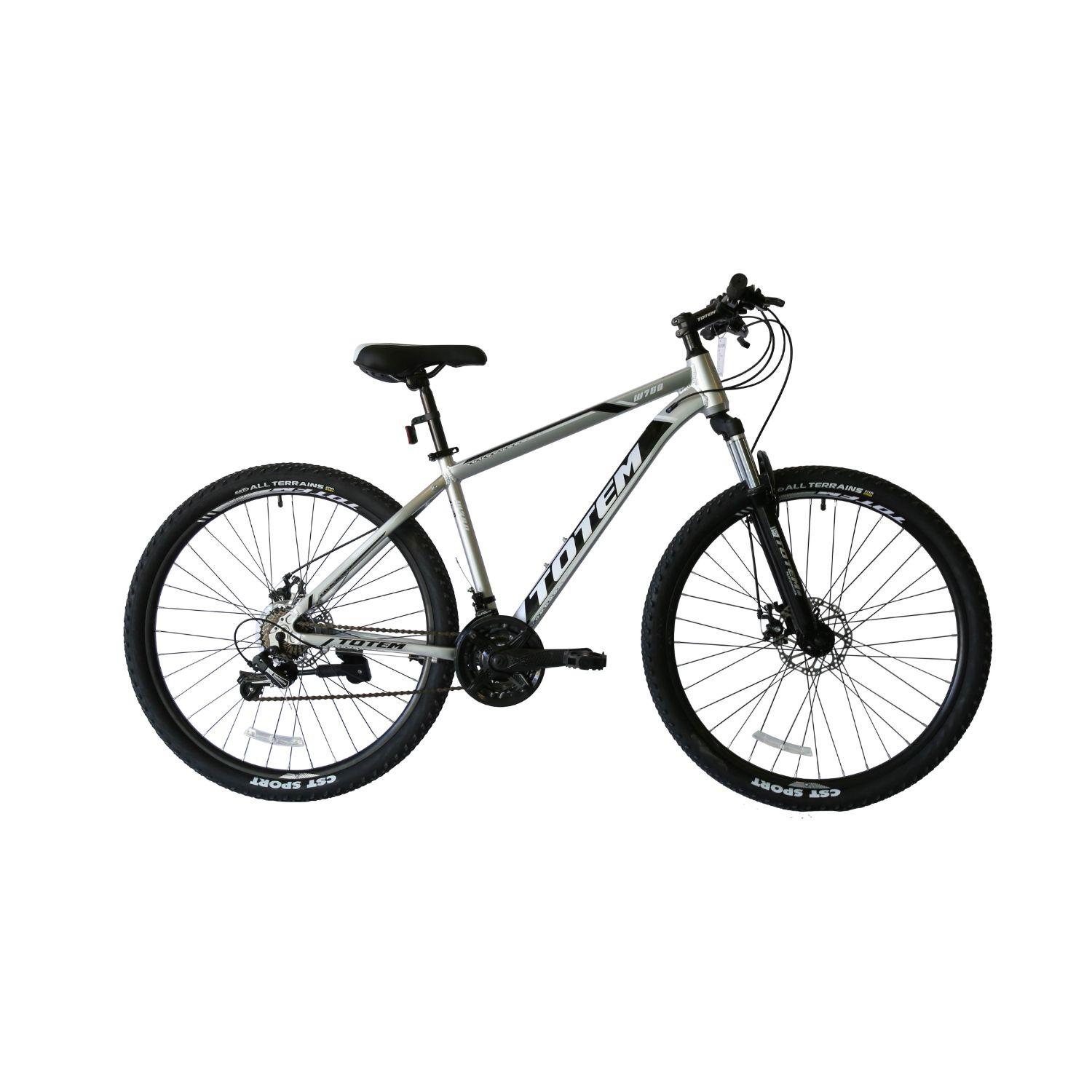 BICICLETA TOTEM MTB ARO 29*17 MOD W760 COLOR PLATEADO-0