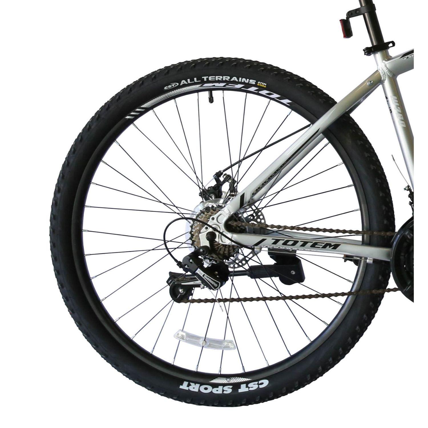 BICICLETA TOTEM MTB ARO 29*17 MOD W760 COLOR PLATEADO-1