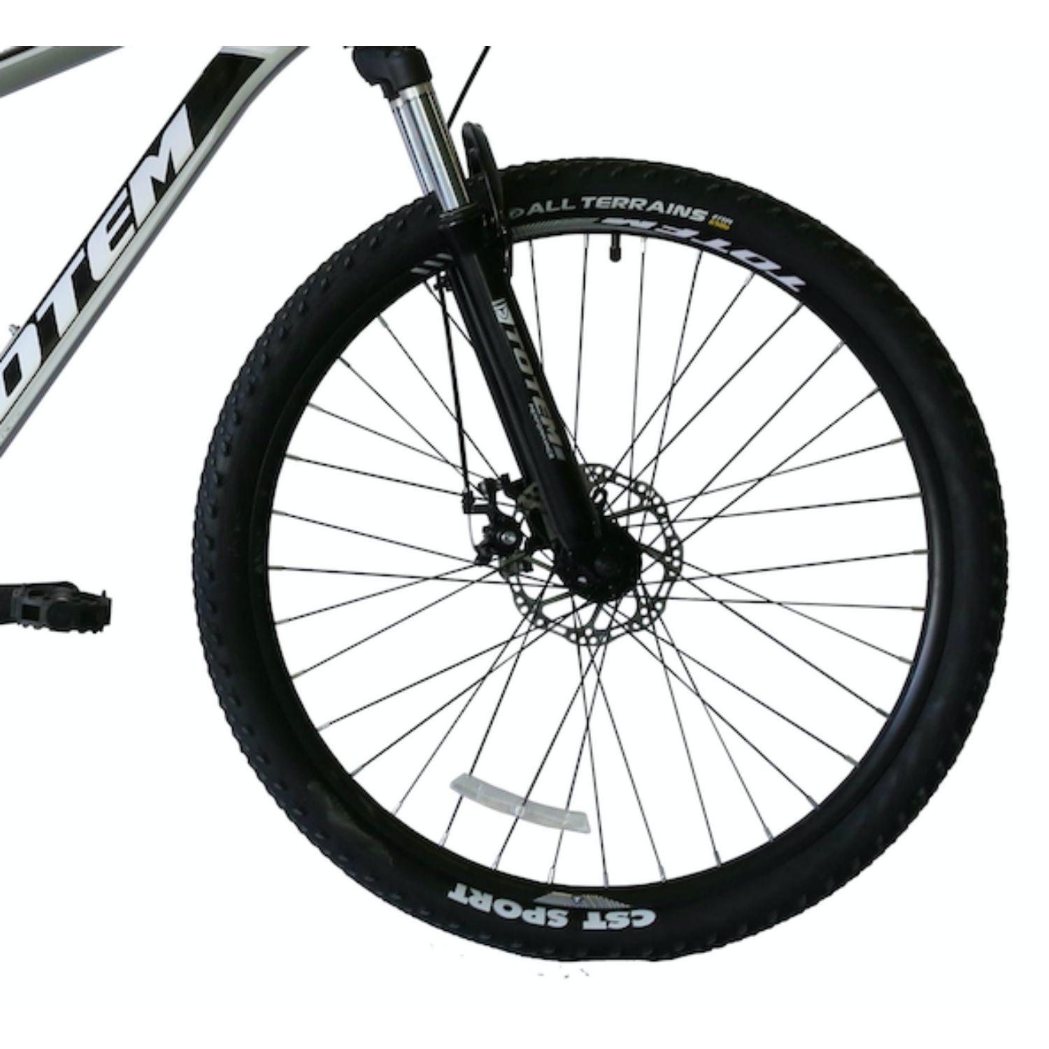 BICICLETA TOTEM MTB ARO 29*17 MOD W760 COLOR PLATEADO-2