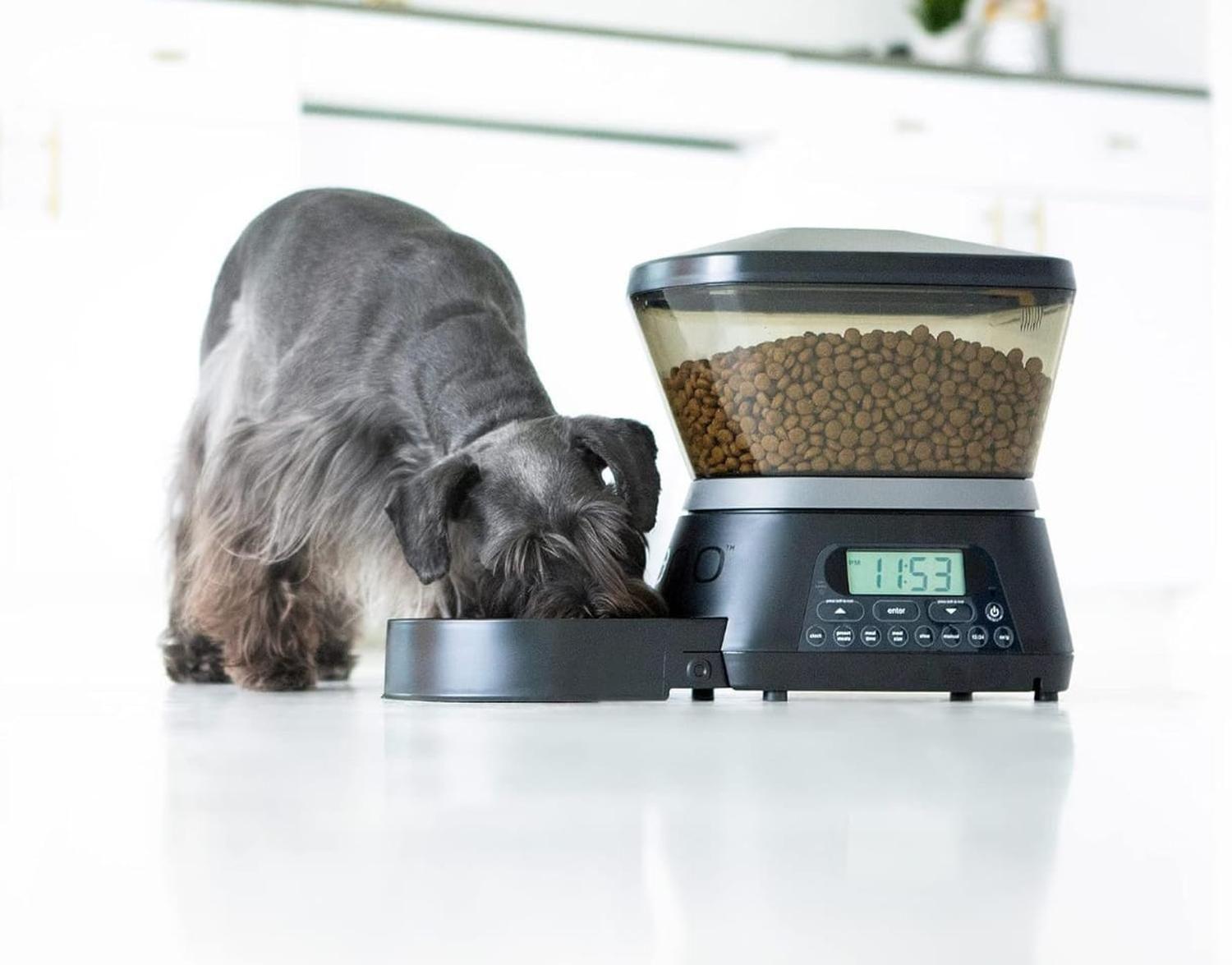 Dispensador De Alimentos Para Mascotas Automático-0