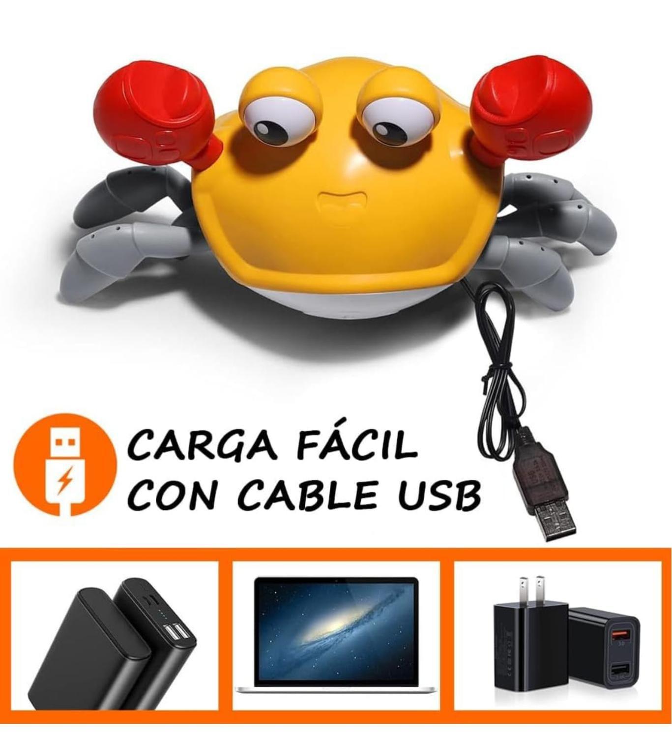 Cangrejo Musical Recargable USB Con Sensor Para Bebes-4