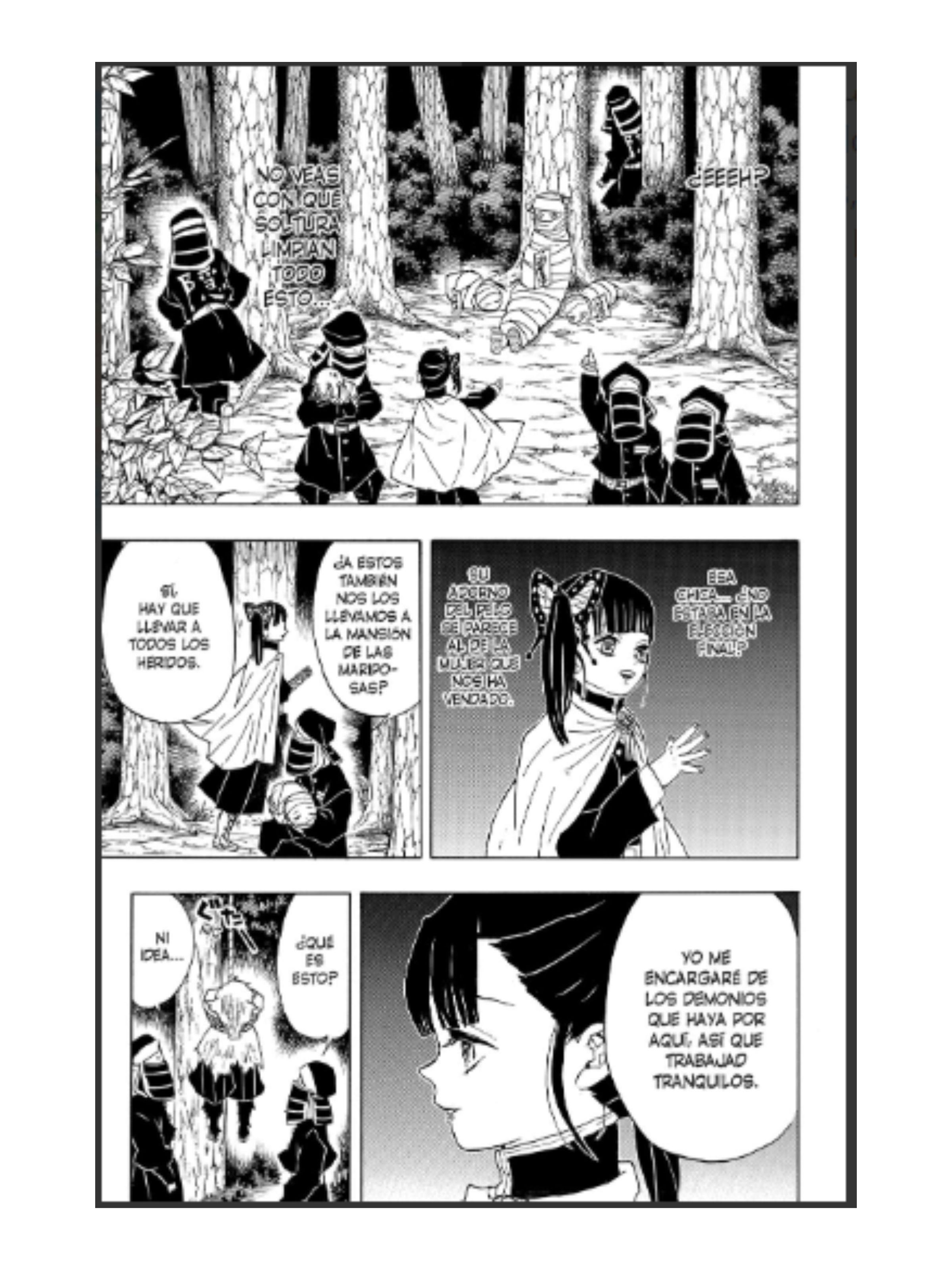 Guardianes De La Noche Kimetsu No Yaiba #06-3