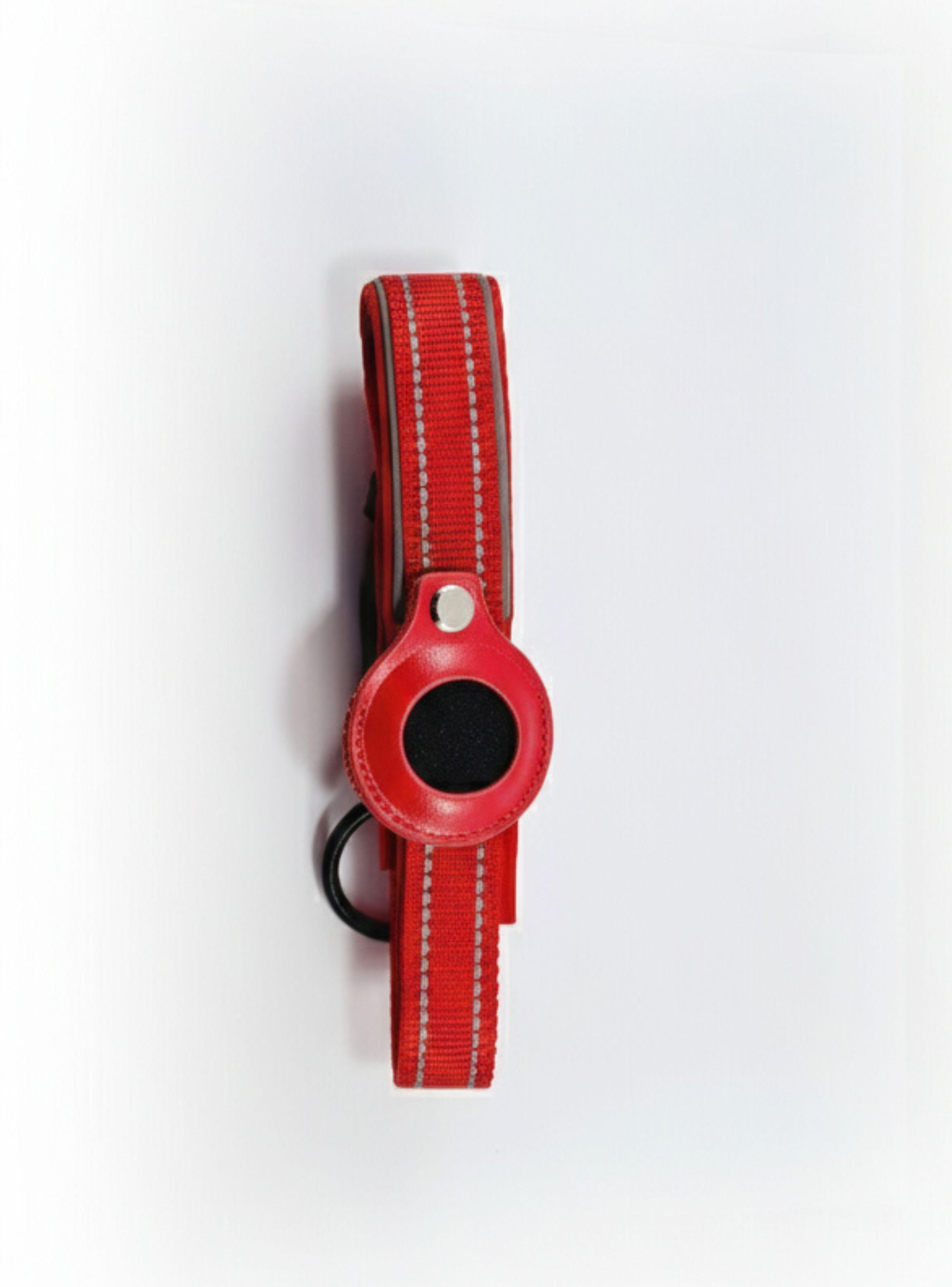 Collar de Perro con Soporte para Localizador GPS-2