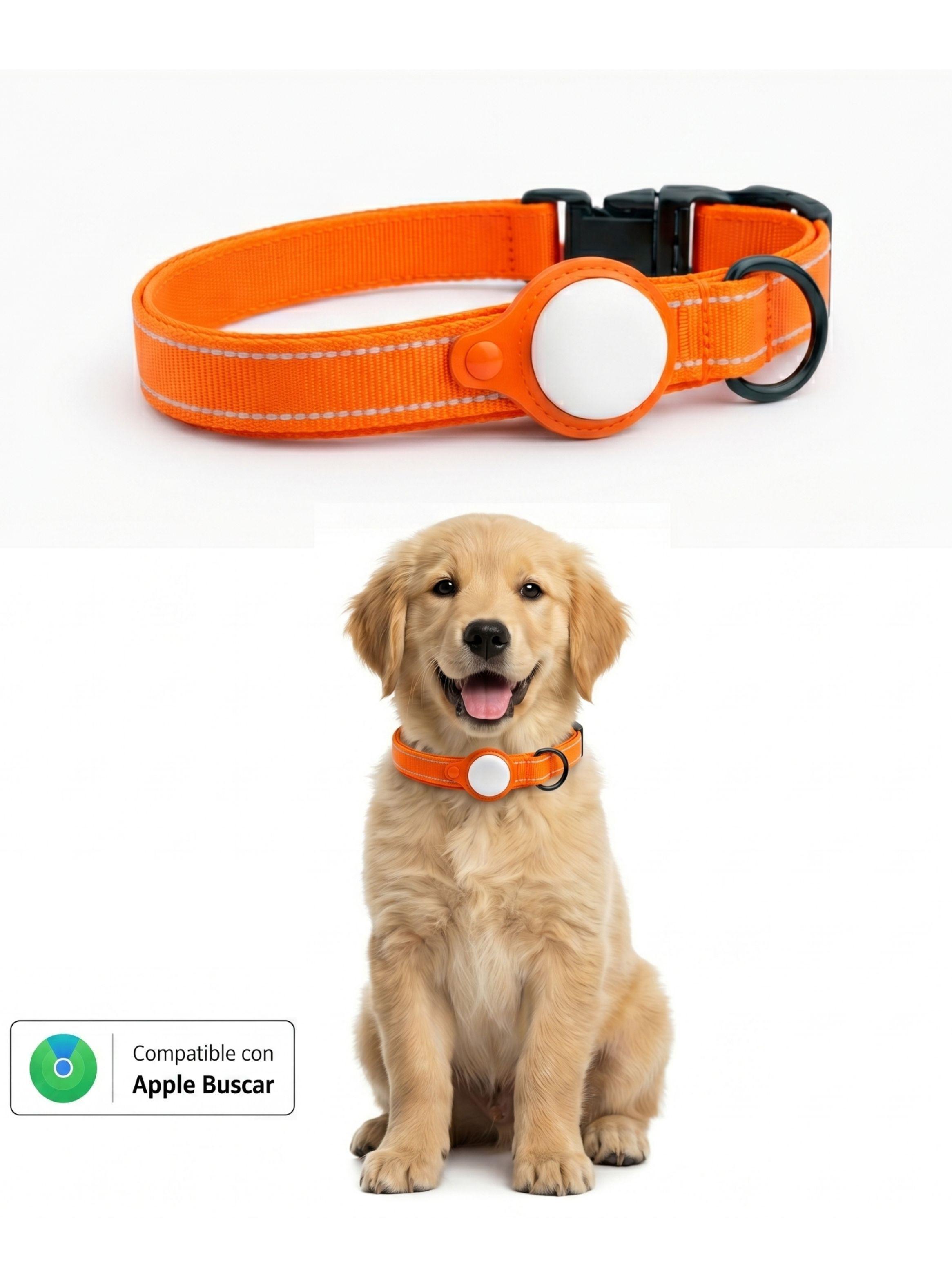 Collar de Perro con Localizador de Rastreo Global Apple-0