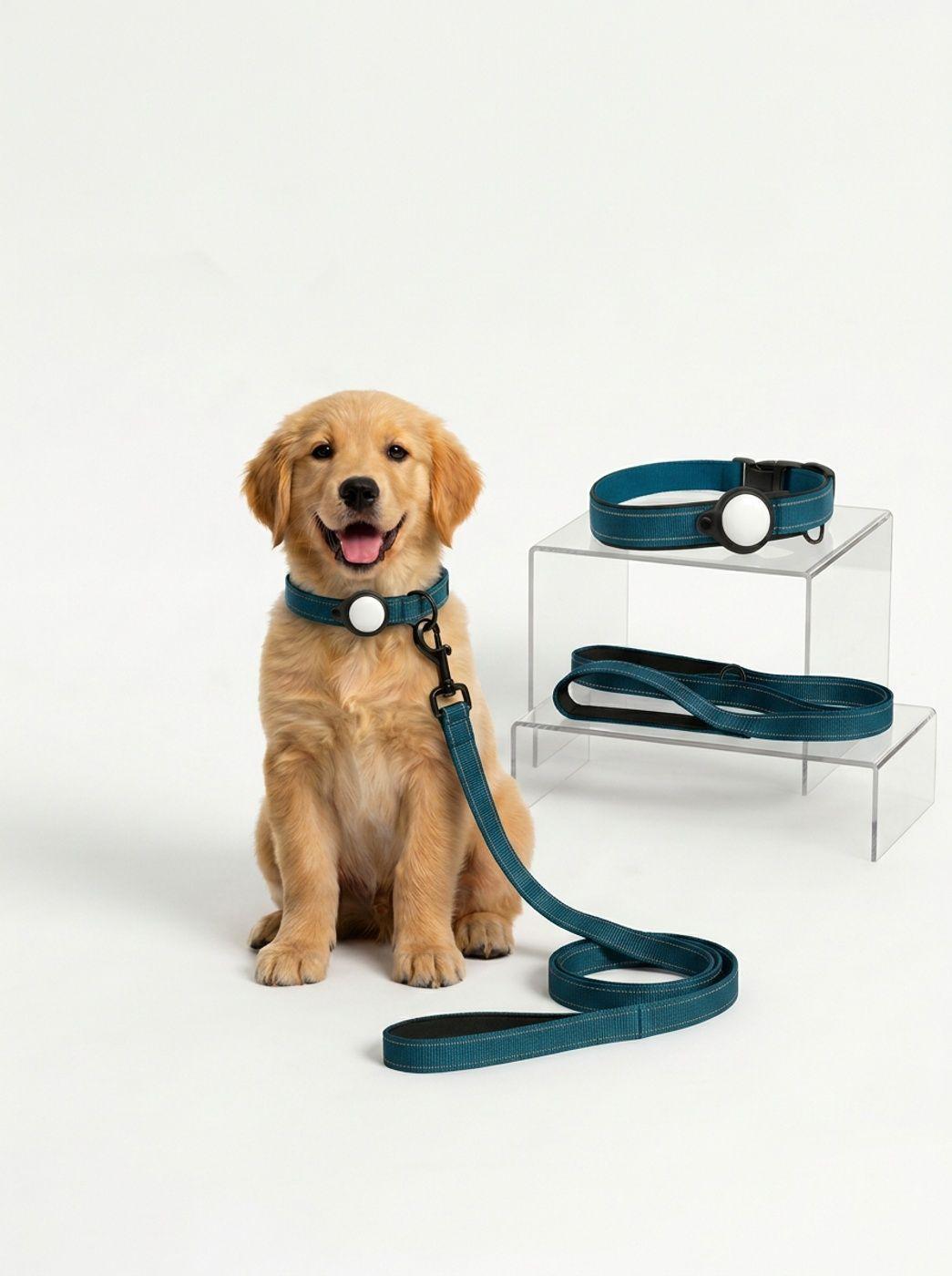Kit de Paseo para Perro con Localizador Android-0