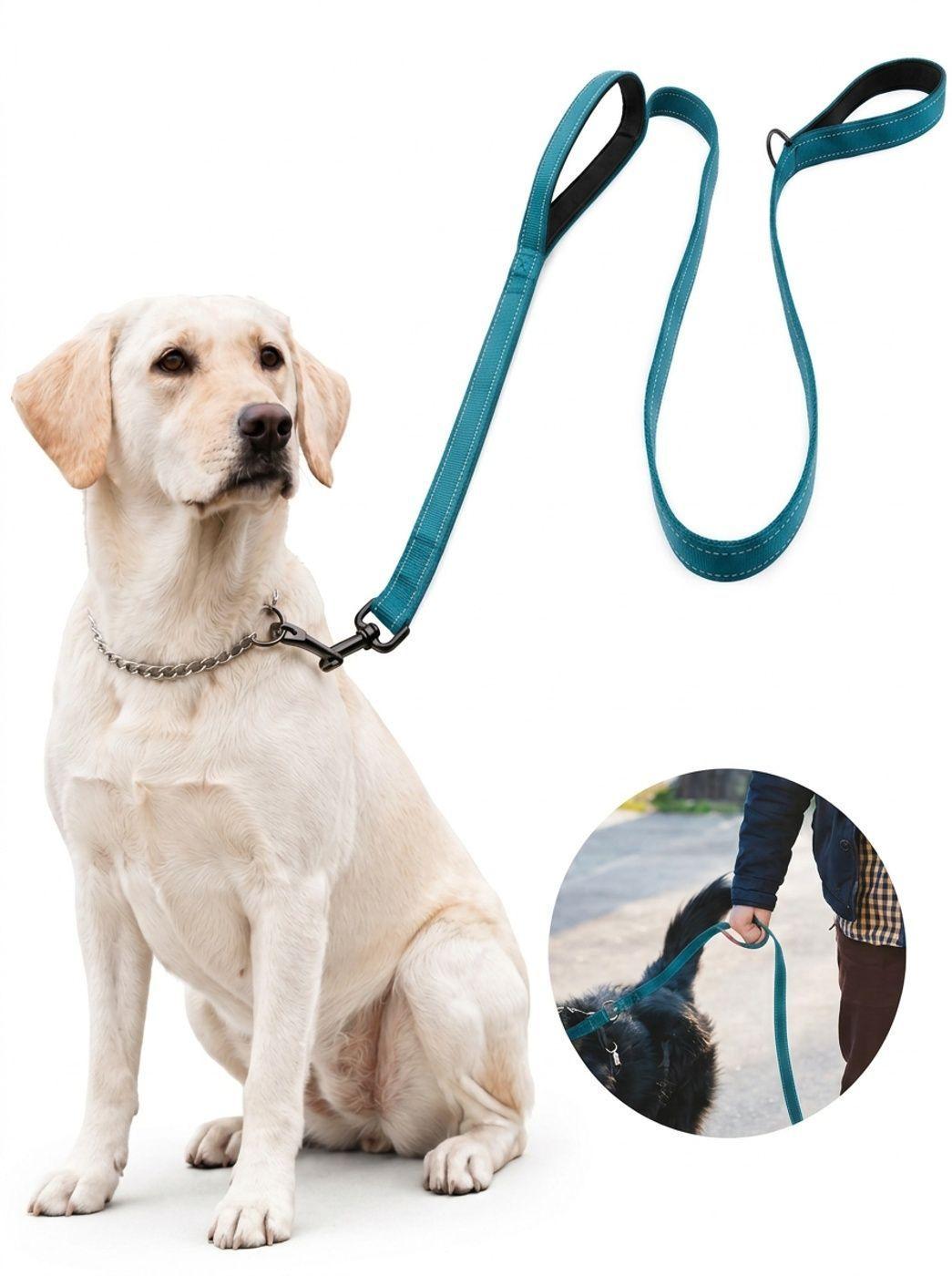Kit de Paseo para Perro con Localizador Android-2