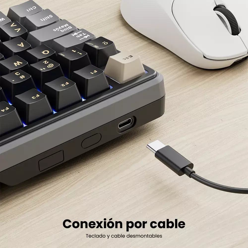Teclado Mecánico RK X87 Phantom 87% Español RK-2