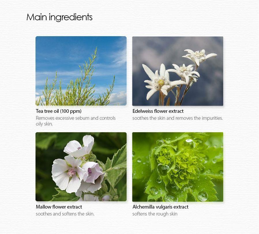 The Saem Agua Limpiadora Tea Tree 300mL Vegana Sin Parabenos Grasa-3