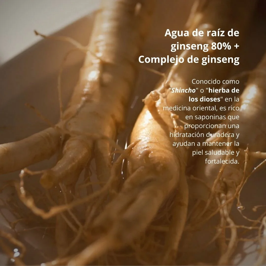 Beauty of Joseon Serum Revive Serum Ginseng Snail Mucin 30ml-6