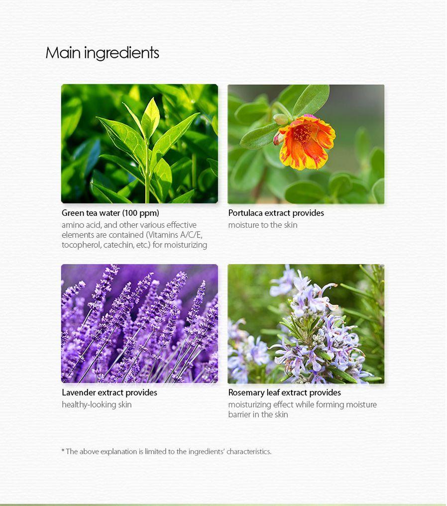 Agua Micellar T Verde Healing Tea Garden-5