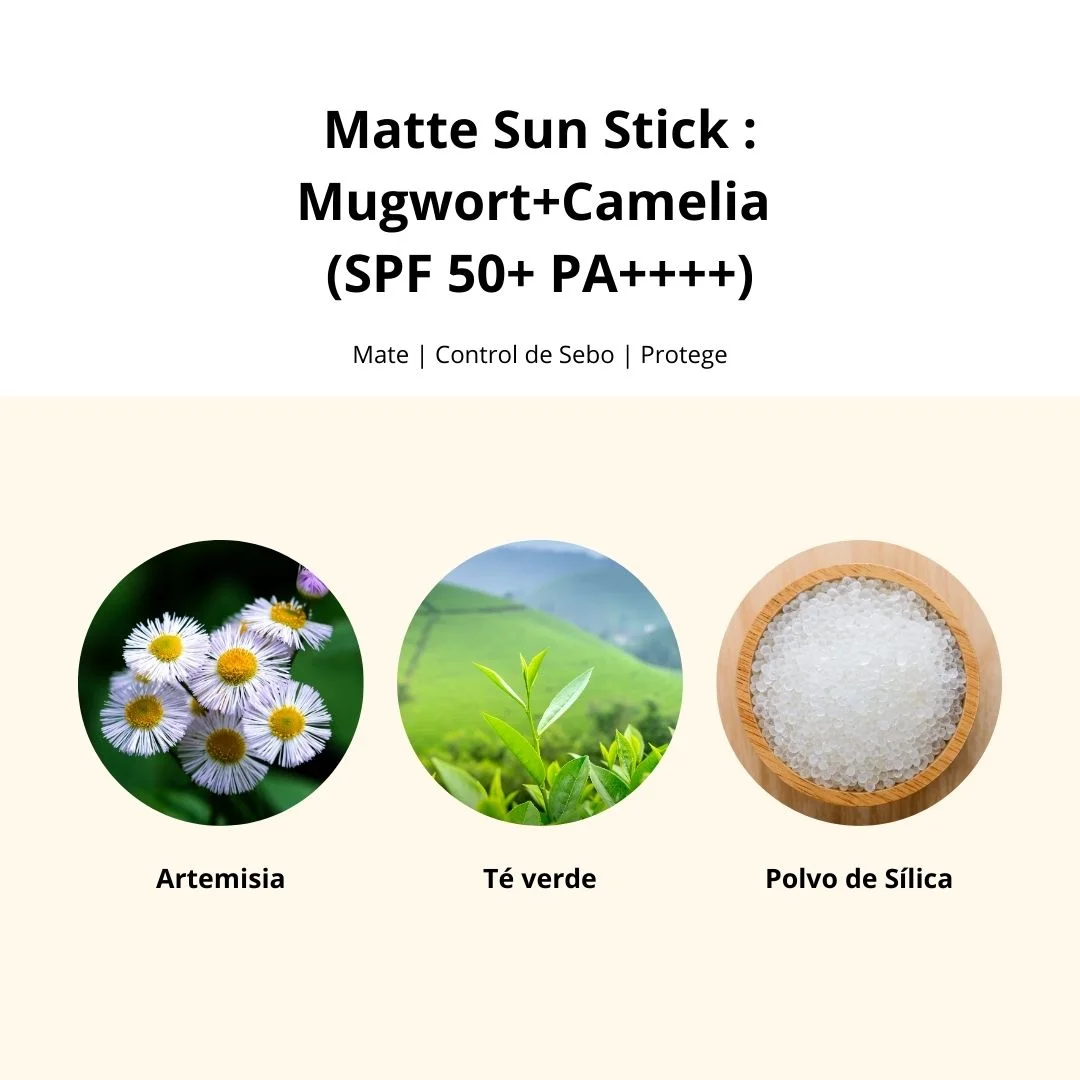 Beauty of Joseon Protector Solar Matte Sun Stick Mugwort Camelia 18g-6