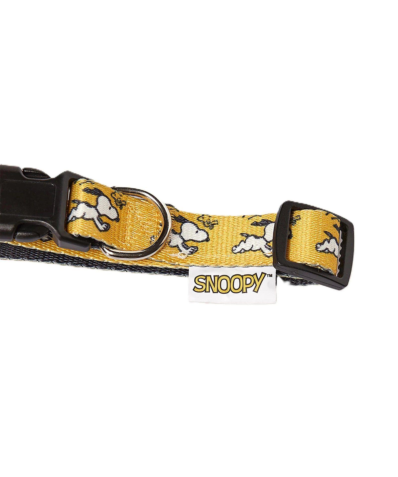 Collar Mascotas Lady Genny D-03 Mostaza-2