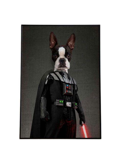 CUADRO DE TU MASCOTA PETPRINT DARTH VADER CANVAS - 40X60 CM -0