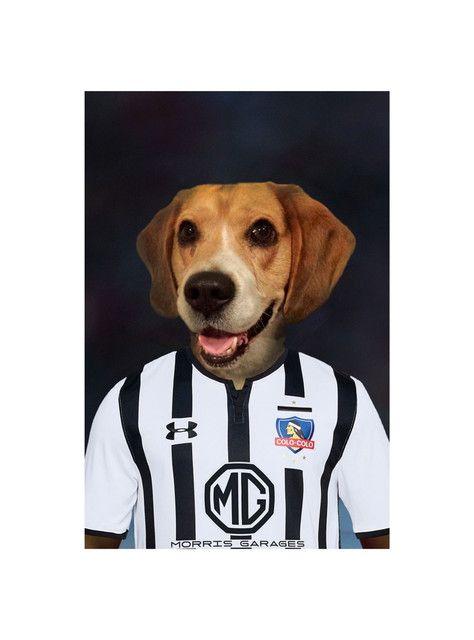 CUADRO DE TU MASCOTA PET PRINT COLO COLO CANVAS - 40X60 CM -1